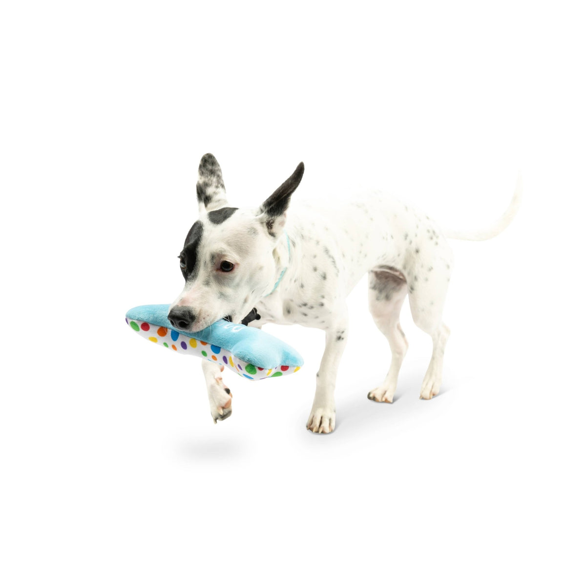Huxley & Kent - It's My Barkday Bone Dog Toy (Double Sided) - Doglicious Bakery Bites