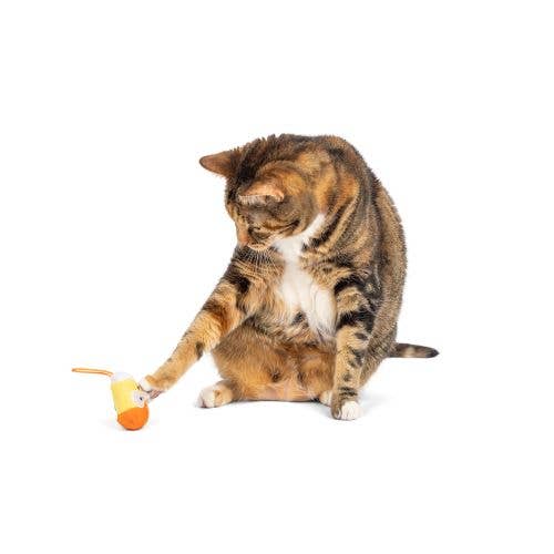 Huxley & Kent - Kookie Korn Flinger Cat Toy - Doglicious Bakery Bites