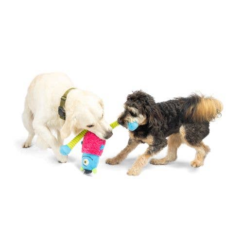 Huxley & Kent - Lankies Gizmo Monster - Doglicious Bakery Bites