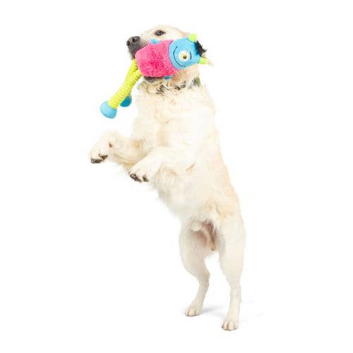 Huxley & Kent - Lankies Gizmo Monster - Doglicious Bakery Bites