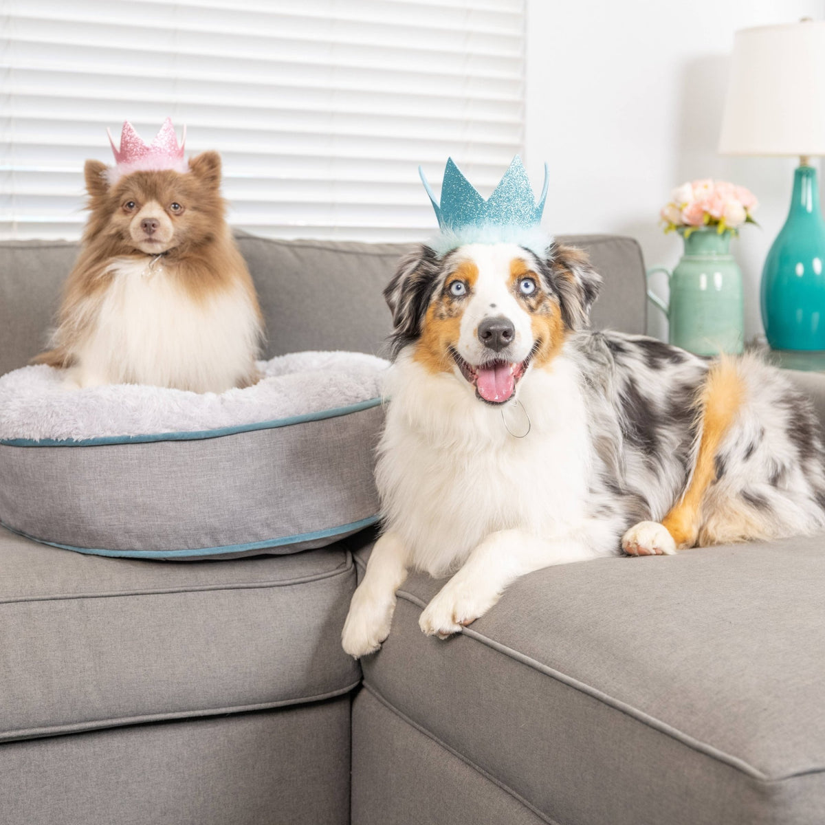 Huxley & Kent - Party Crown Blue with SnugFit® - Doglicious Bakery Bites