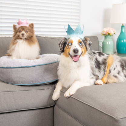 Huxley & Kent - Party Crown Blue with SnugFit® - Doglicious Bakery Bites
