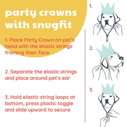 Huxley & Kent - Party Crown Pink with SnugFit® - Doglicious Bakery Bites