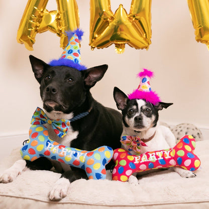 Huxley & Kent - Party Time Bone Blue Dog Toy - Doglicious Bakery Bites