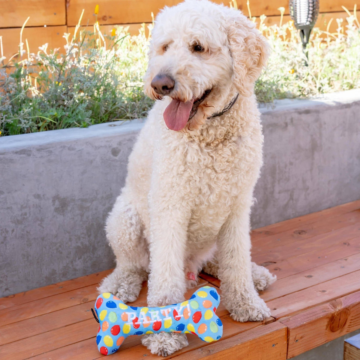 Huxley & Kent - Party Time Bone Blue Dog Toy - Doglicious Bakery Bites