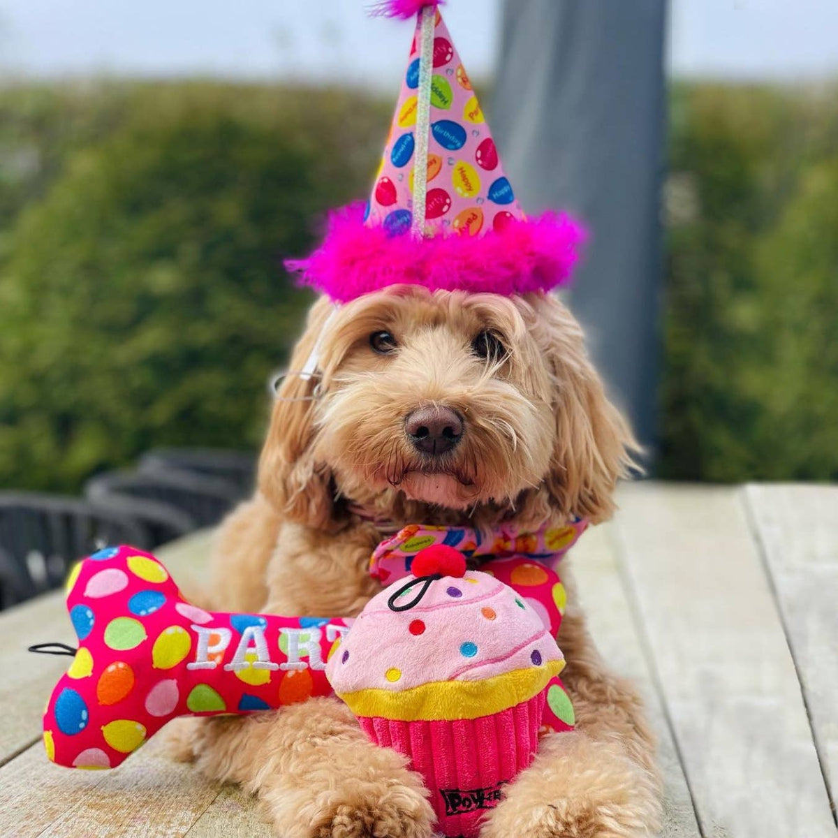 Huxley & Kent - Party Time Bone Pink Dog Toy - Doglicious Bakery Bites