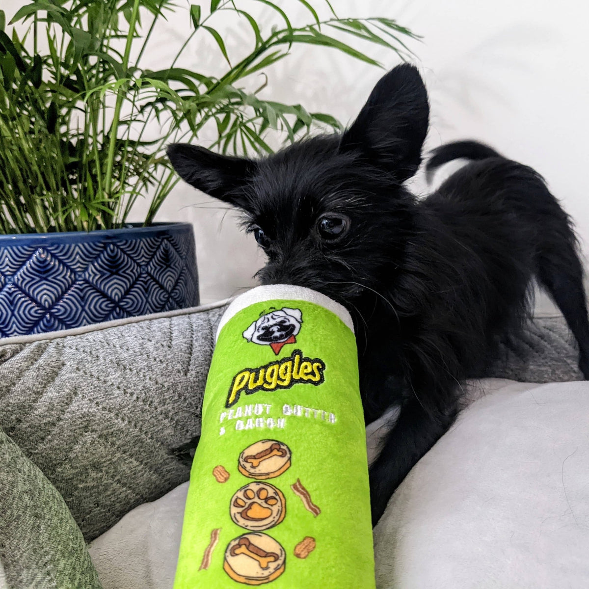 Huxley & Kent - Puggles Can Dog Toy - Doglicious Bakery Bites
