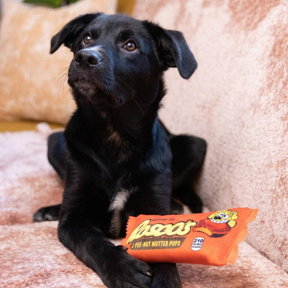 Huxley & Kent - Roscos Dog Toy - Doglicious Bakery Bites