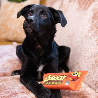 Huxley & Kent - Roscos Dog Toy - Doglicious Bakery Bites