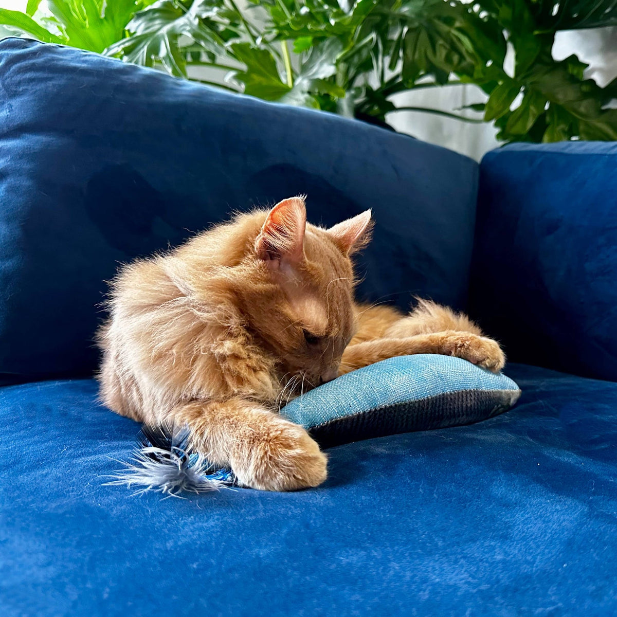 Huxley & Kent - Sardine Kicker Cat Toy - Doglicious Bakery Bites