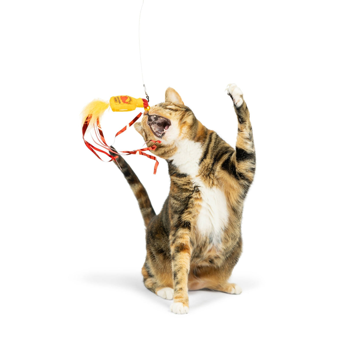 Huxley & Kent - Teaser Hairball Whisky Cat Wand - Doglicious Bakery Bites