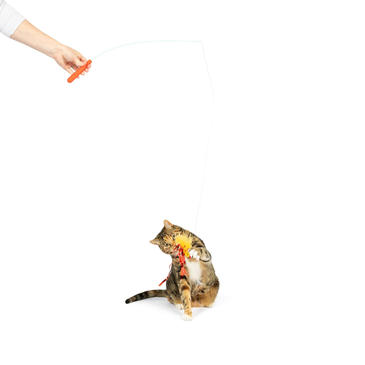 Huxley & Kent - Teaser Hairball Whisky Cat Wand - Doglicious Bakery Bites