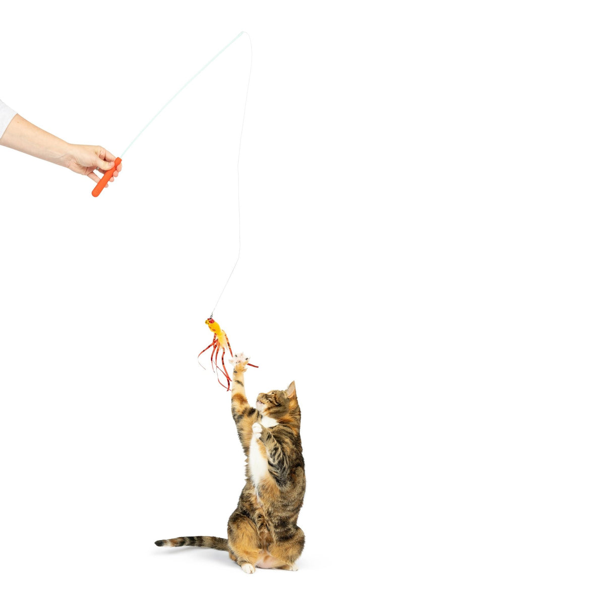 Huxley & Kent - Teaser Hairball Whisky Cat Wand - Doglicious Bakery Bites