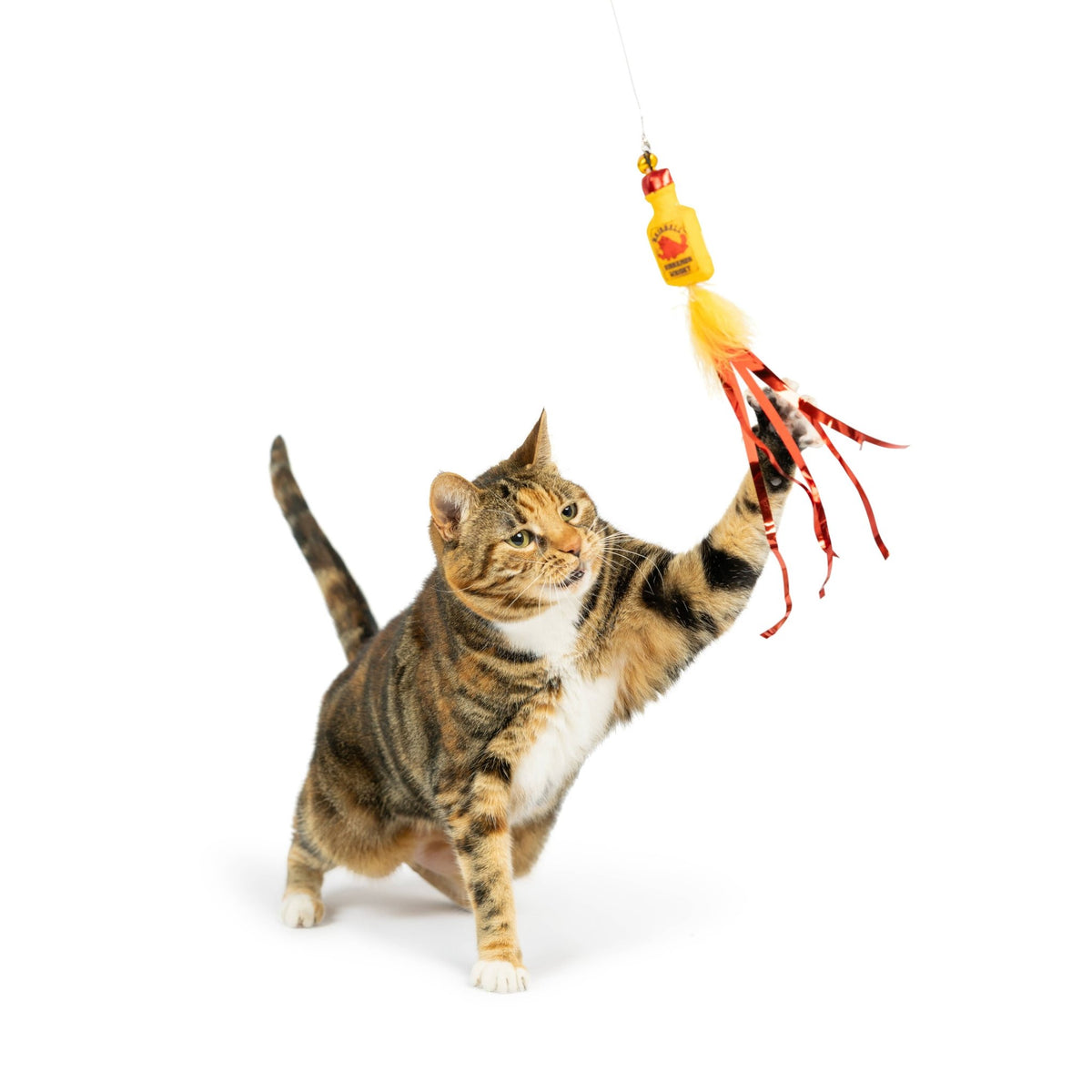 Huxley & Kent - Teaser Hairball Whisky Cat Wand - Doglicious Bakery Bites