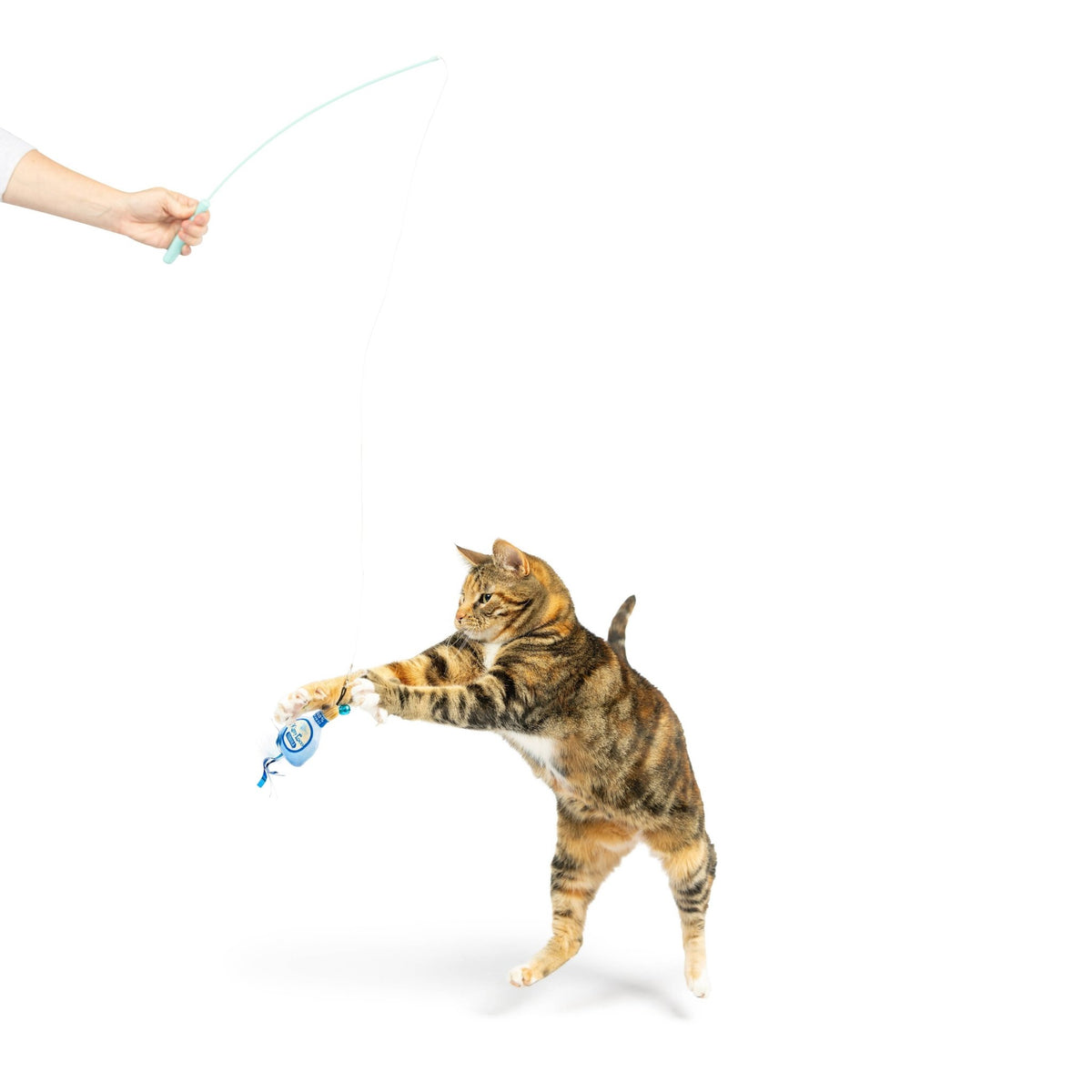 Huxley & Kent - Teaser Kitty Loco Cat Wand - Doglicious Bakery Bites