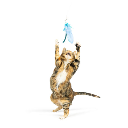 Huxley & Kent - Teaser Kitty Loco Cat Wand - Doglicious Bakery Bites