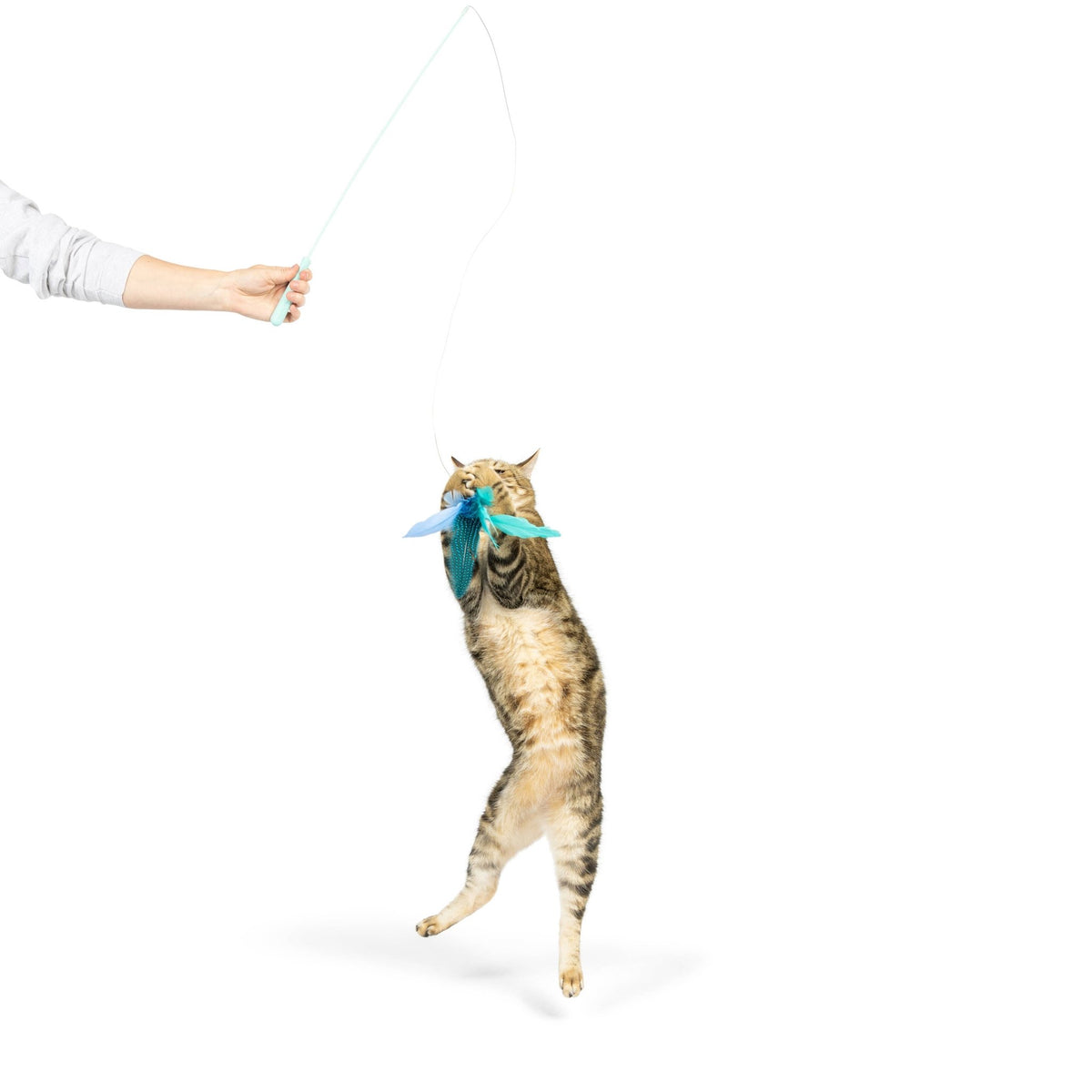 Huxley & Kent - Teaser Kitty Loco Cat Wand - Doglicious Bakery Bites