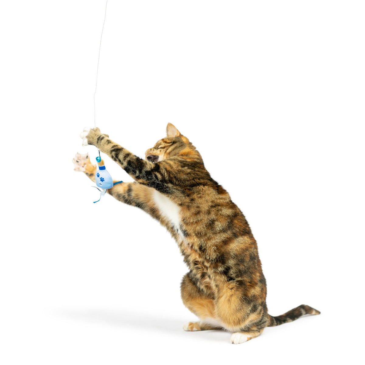 Huxley & Kent - Teaser Kitty Loco Cat Wand - Doglicious Bakery Bites