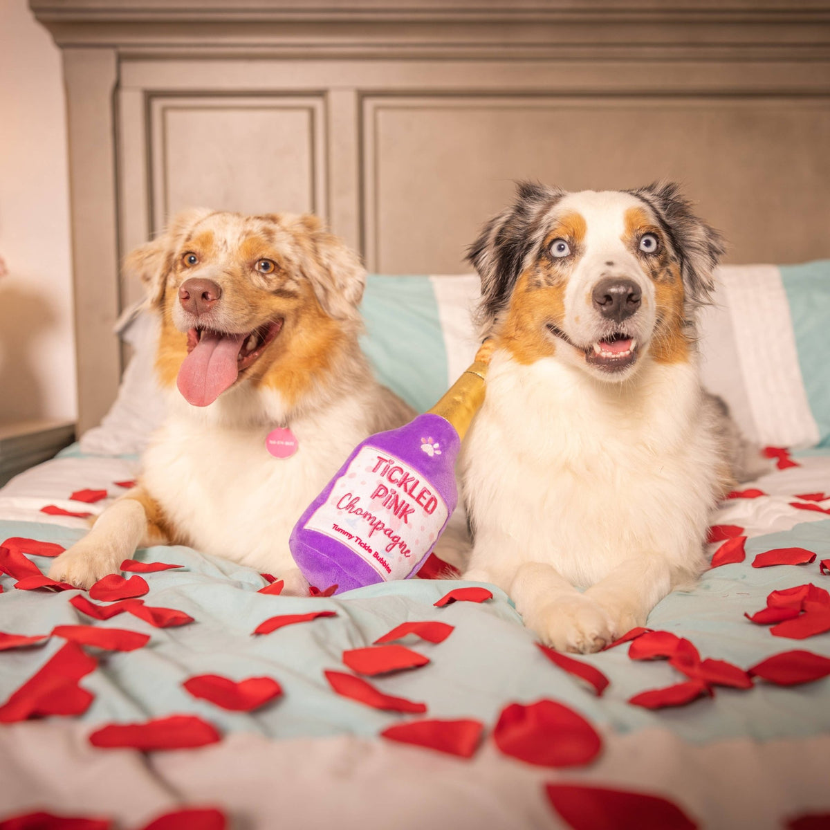 Huxley & Kent - Tickled Pink Chompagne Dog Toy - Doglicious Bakery Bites