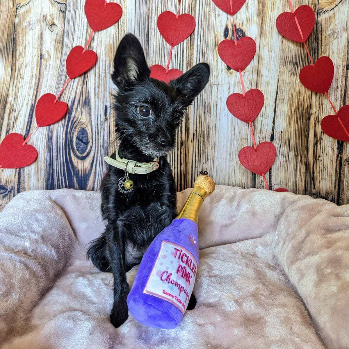 Huxley & Kent - Tickled Pink Chompagne Dog Toy - Doglicious Bakery Bites