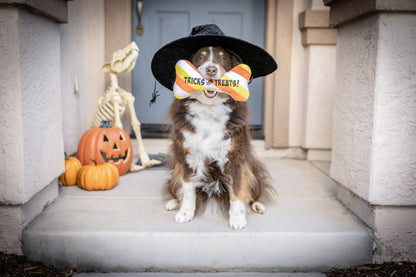 Huxley & Kent - Tricks for Treats Bone Dog Toy - Doglicious Bakery Bites