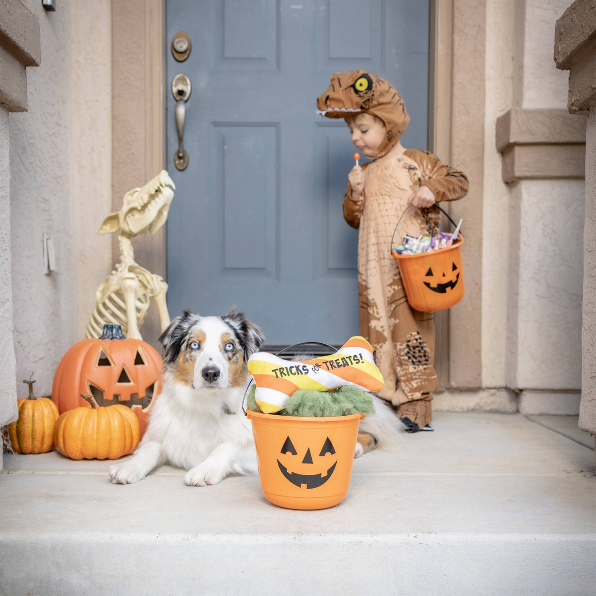 Huxley & Kent - Tricks for Treats Bone Dog Toy - Doglicious Bakery Bites