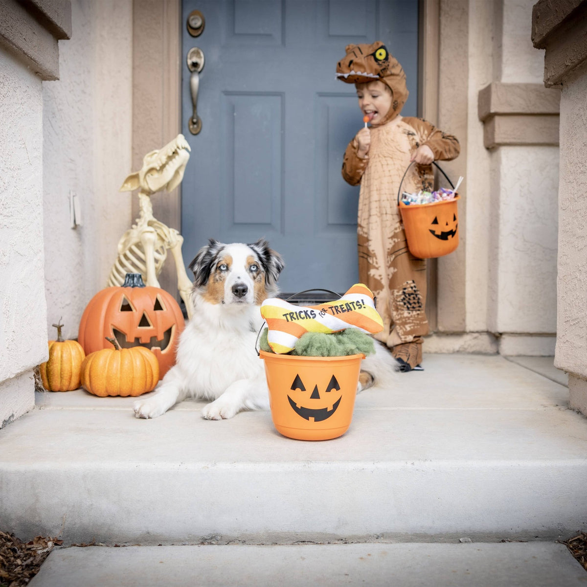 Huxley & Kent - Tricks for Treats Bone Dog Toy - Doglicious Bakery Bites