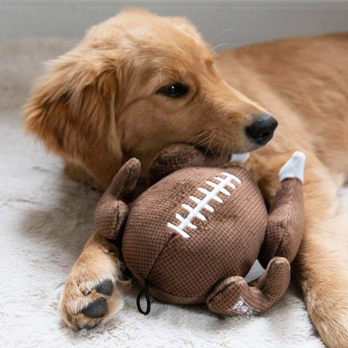 Huxley & Kent - Turkey Bowl Dog Toy - Doglicious Bakery Bites