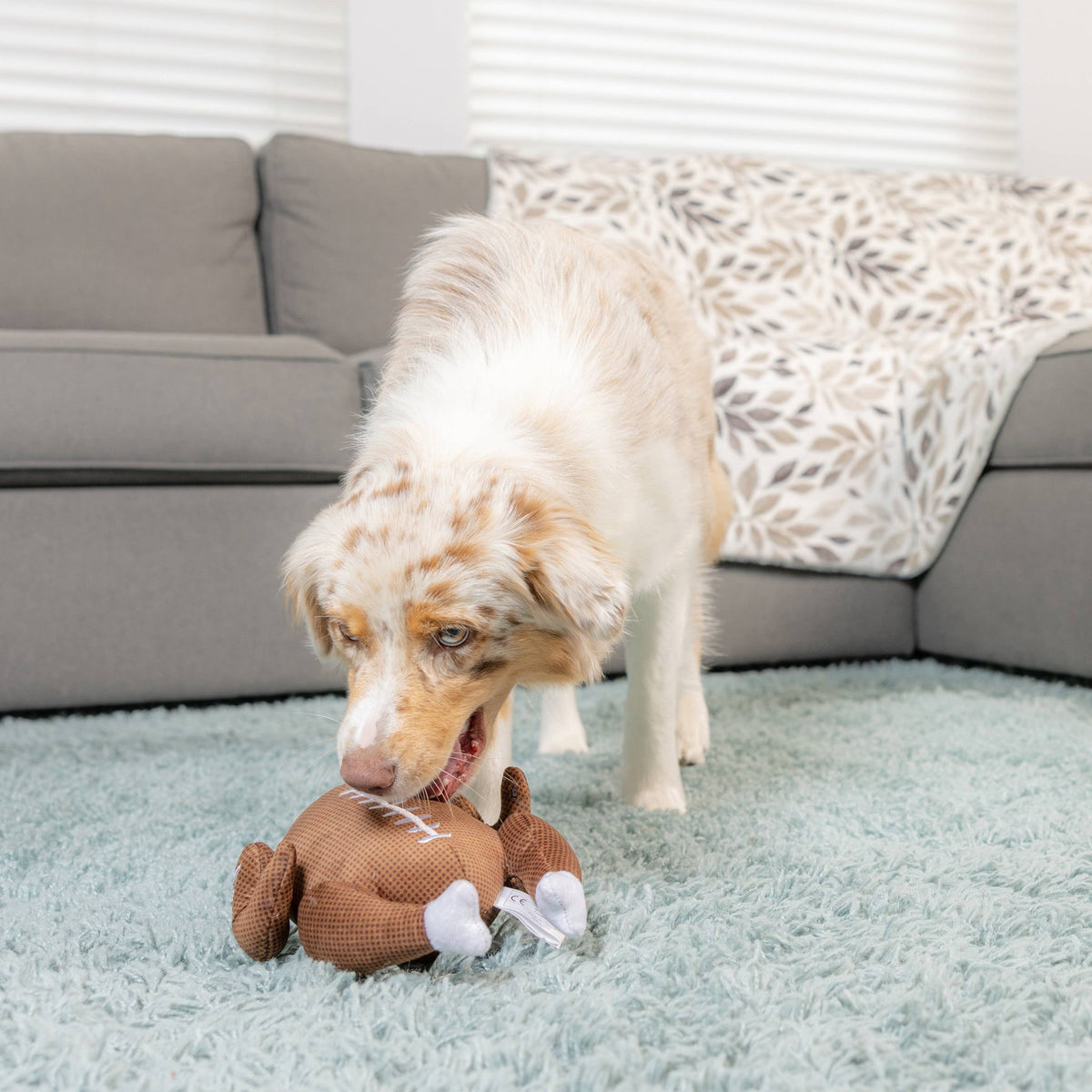 Huxley & Kent - Turkey Bowl Dog Toy - Doglicious Bakery Bites