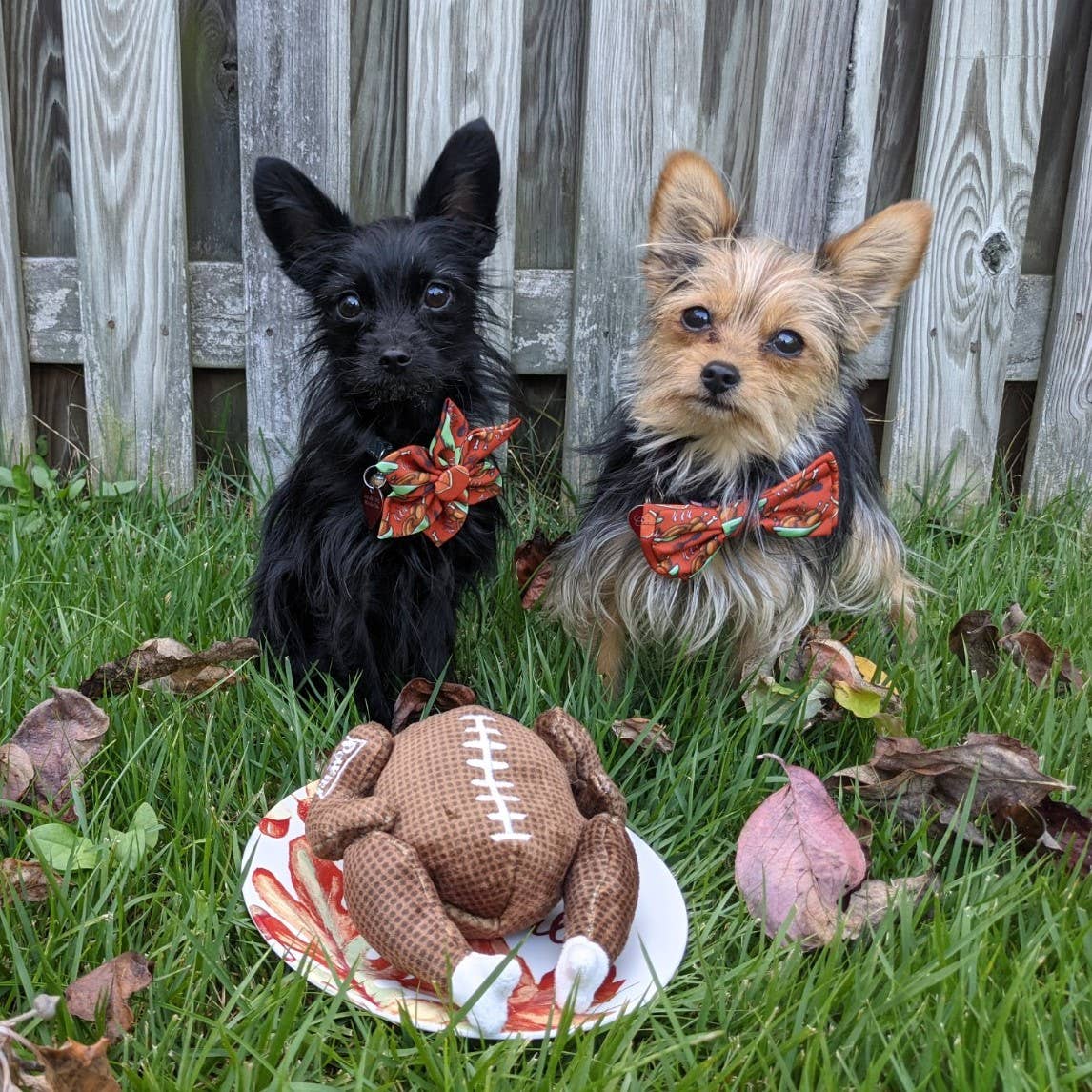 Huxley & Kent - Turkey Bowl Dog Toy - Doglicious Bakery Bites