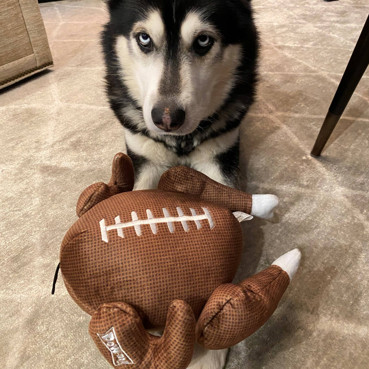 Huxley & Kent - Turkey Bowl Dog Toy - Doglicious Bakery Bites