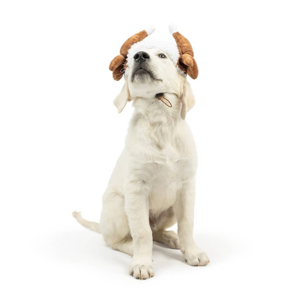 Huxley & Kent - Turkey Hat with SnugFit® - Doglicious Bakery Bites
