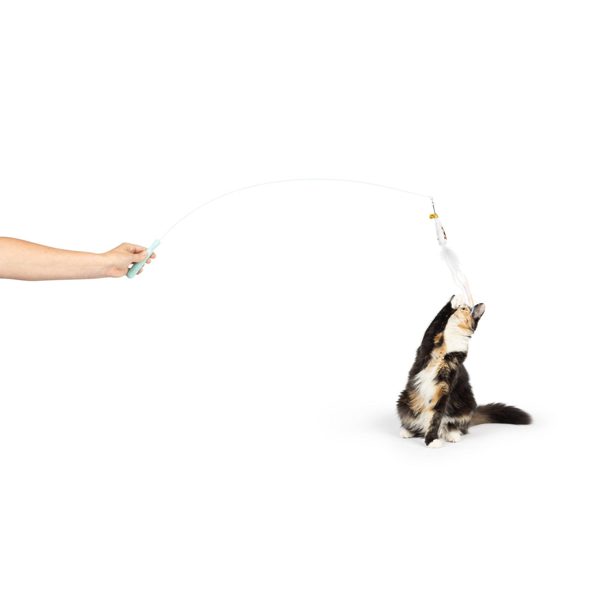 Huxley & Kent - Wire Toto's & Pom Poms Wand 2pk Cat Toy - Doglicious Bakery Bites