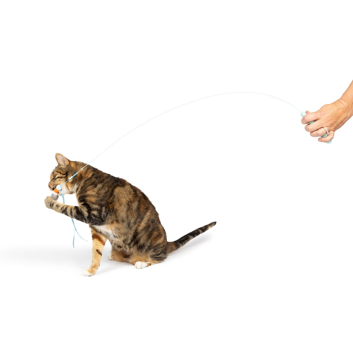 Huxley & Kent - Wire Toto's & Pom Poms Wand 2pk Cat Toy - Doglicious Bakery Bites