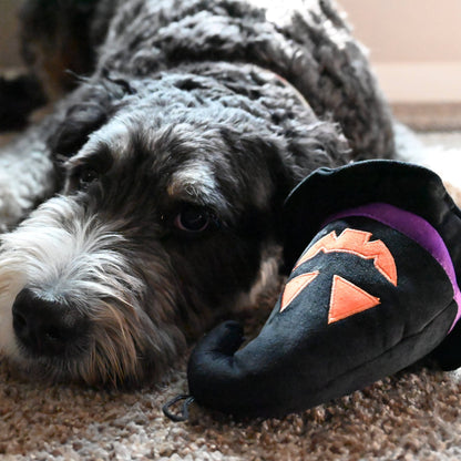 Huxley & Kent - Witch Hat Dog Toy - Doglicious Bakery Bites