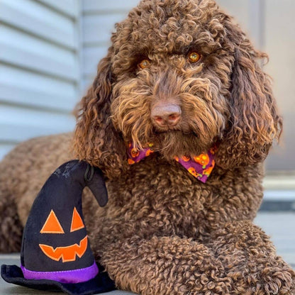 Huxley & Kent - Witch Hat Dog Toy - Doglicious Bakery Bites