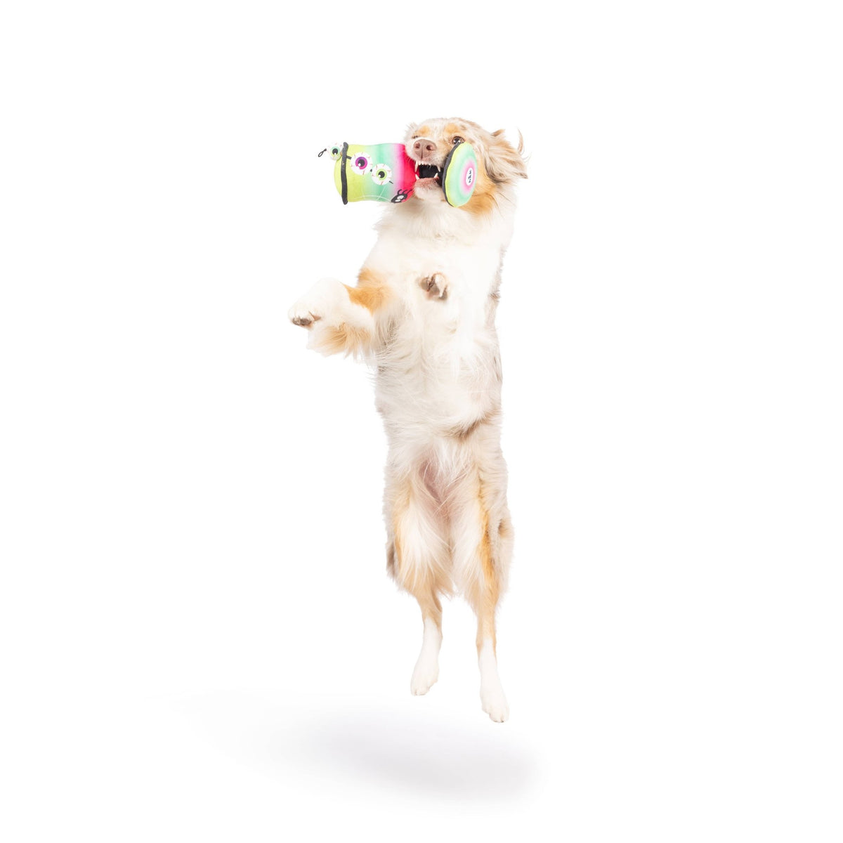 Huxley & Kent - Witch's Potion Dog Toy - Doglicious Bakery Bites