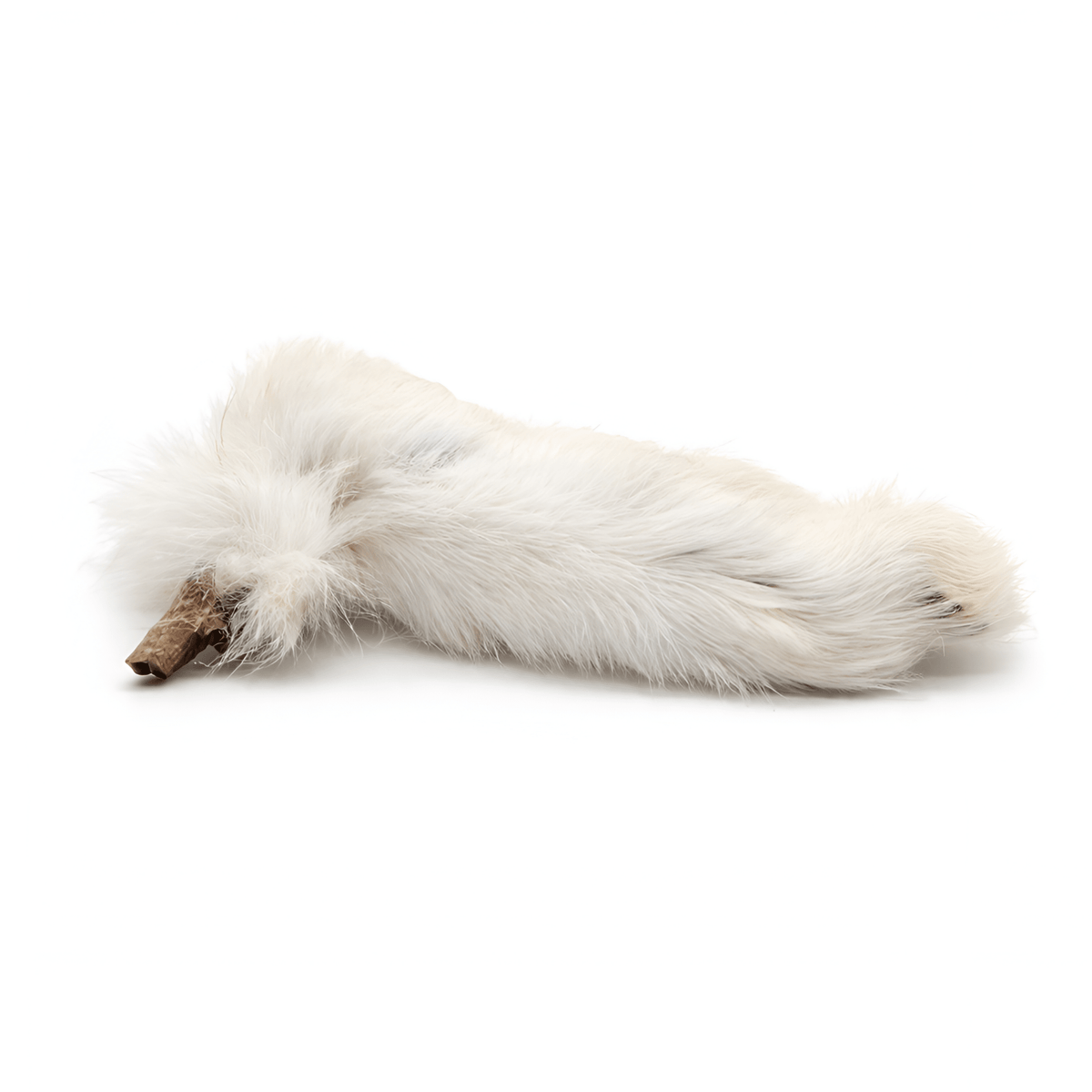Jojo Modern Pets - Rabbit Feet with Fur Dog Chews – Natural Novel Protein (25-pack) - Doglicious Bakery Bites