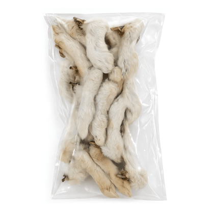 Jojo Modern Pets - Rabbit Feet with Fur Dog Chews – Natural Novel Protein (25-pack) - Doglicious Bakery Bites