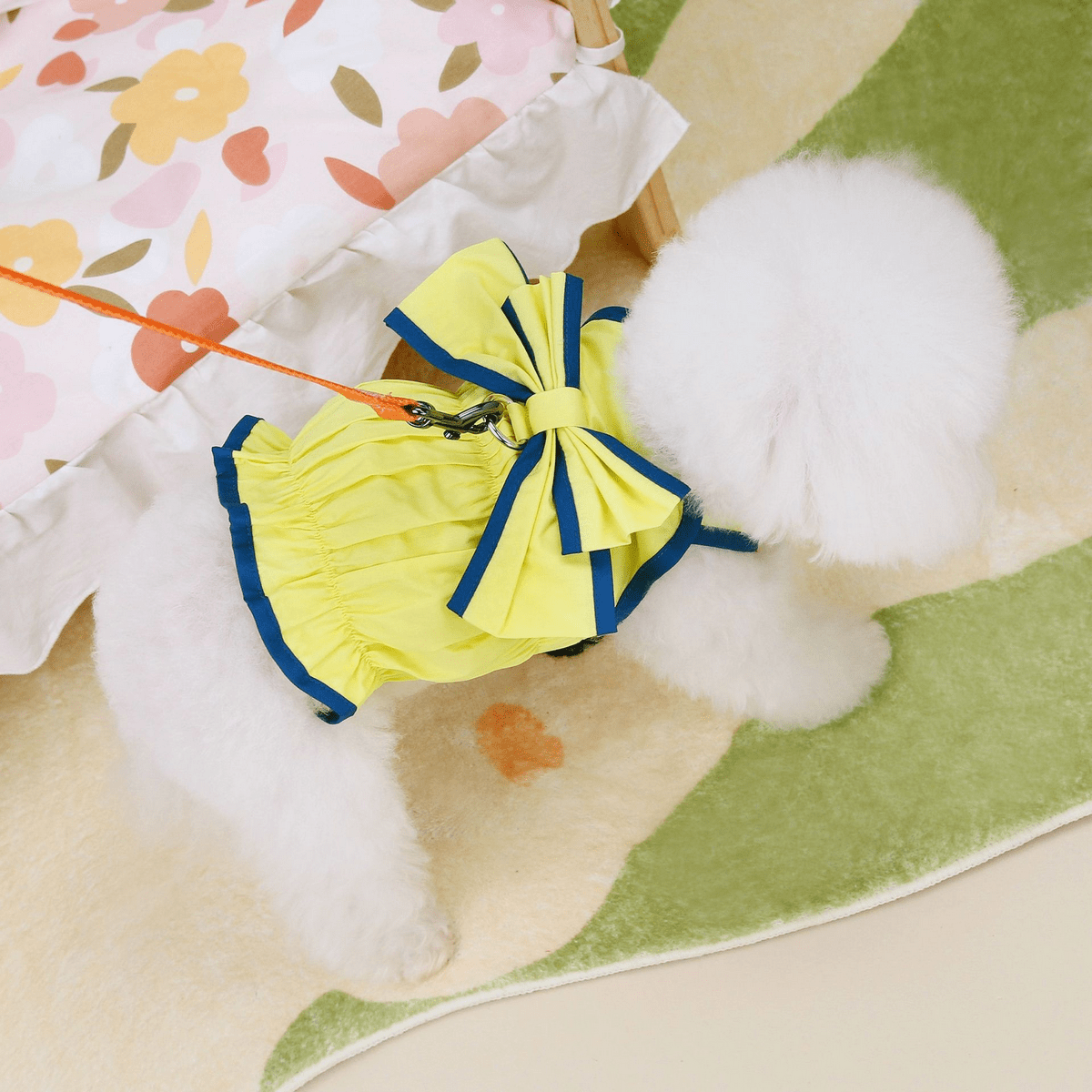 LaChic Pet Dress – Summer Style - Doglicious Bakery Bites