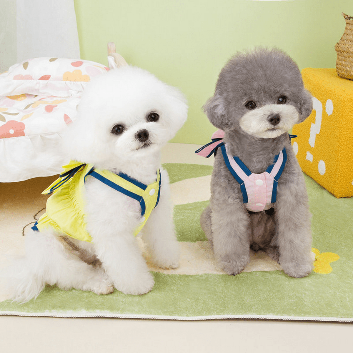 LaChic Pet Dress – Summer Style - Doglicious Bakery Bites