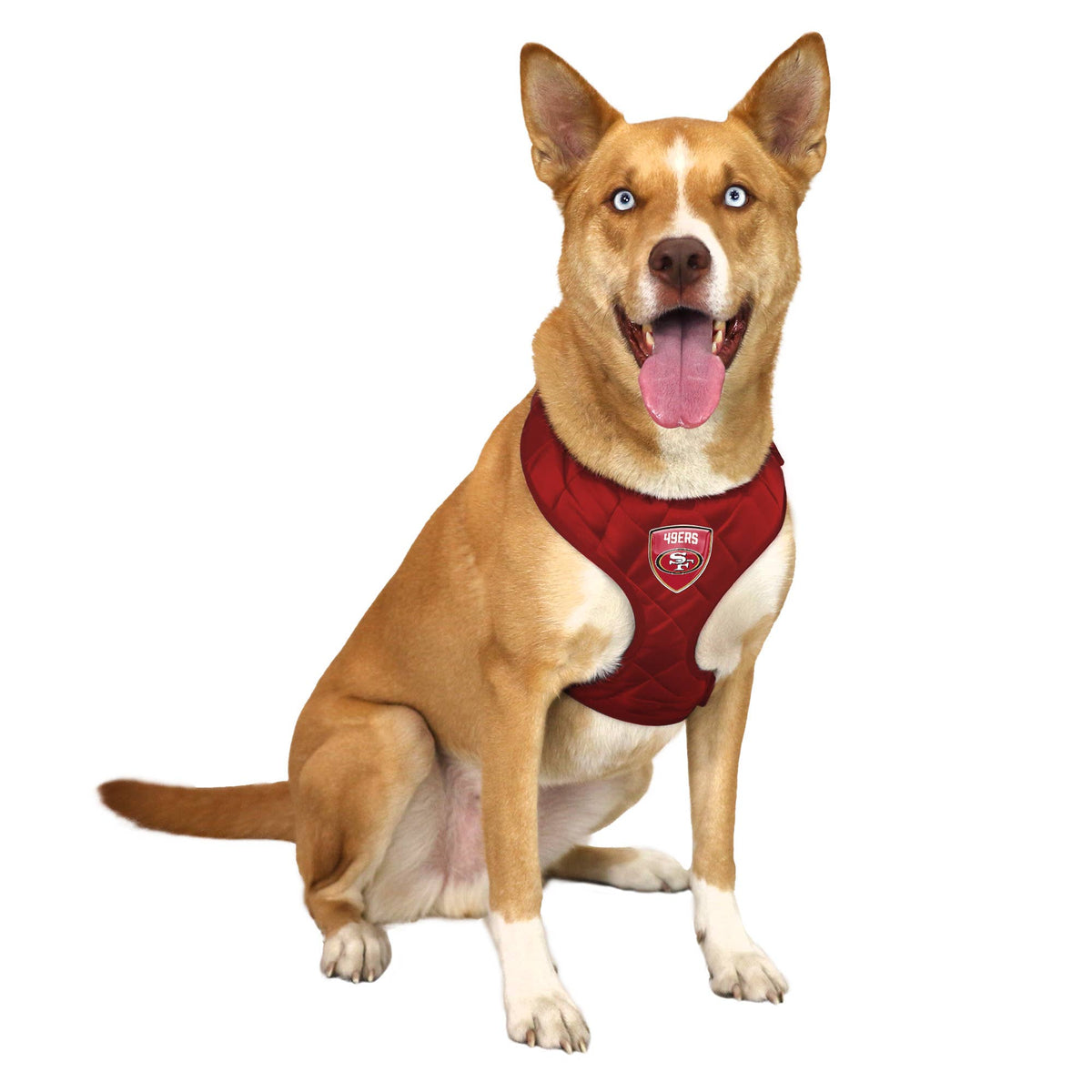 Little Earth Productions - NFL San Francisco 49ers Velvet Pet Harness - Doglicious Bakery Bites