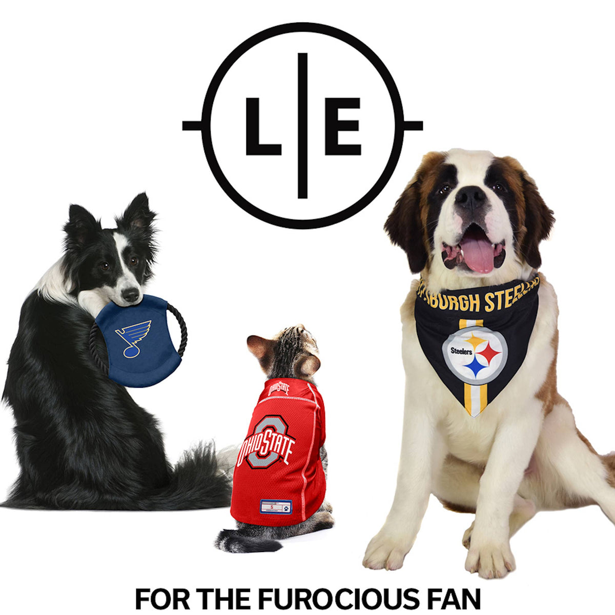 Little Earth Productions - NHL Vegas Golden Knights Velvet Pet Harness - Doglicious Bakery Bites