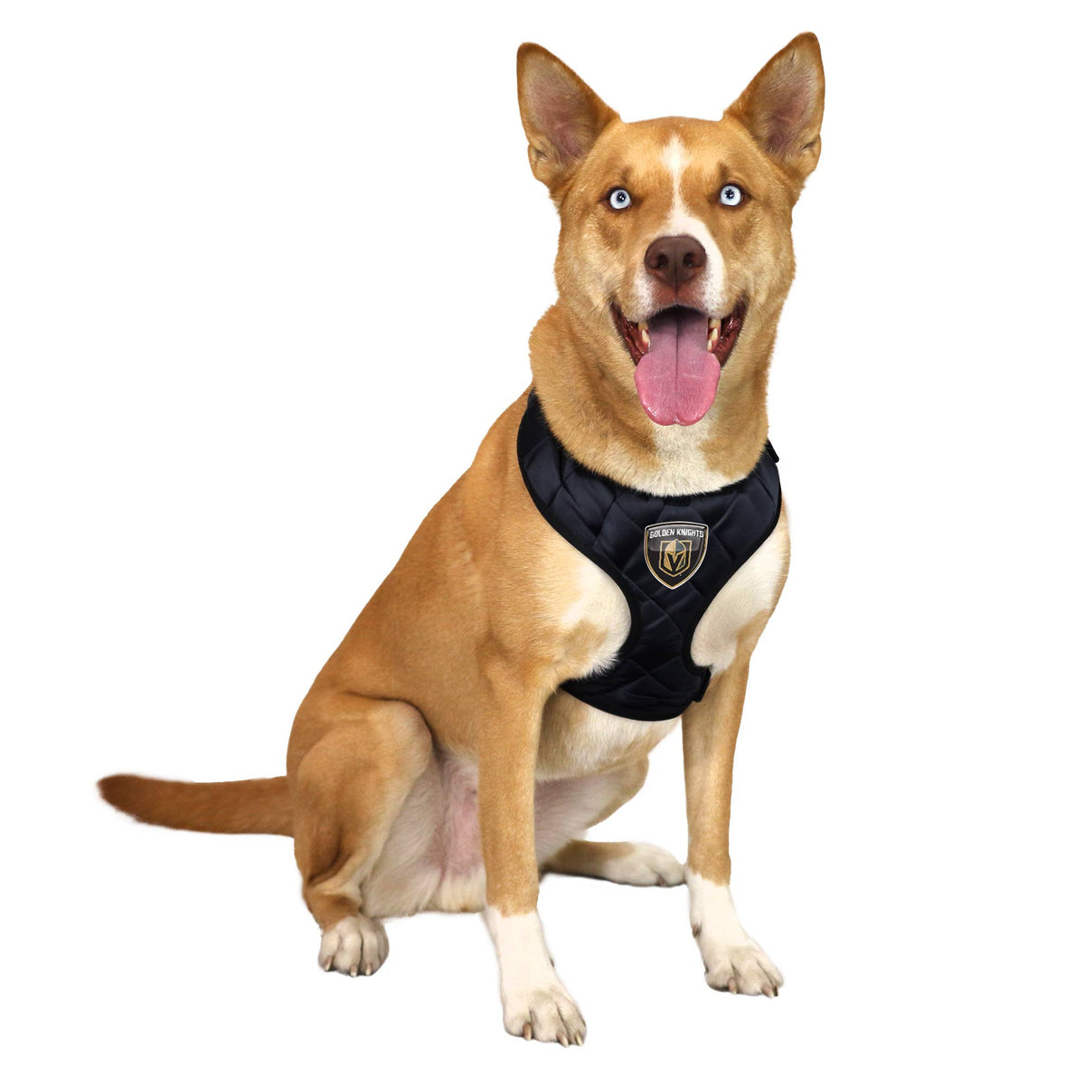 Little Earth Productions - NHL Vegas Golden Knights Velvet Pet Harness - Doglicious Bakery Bites