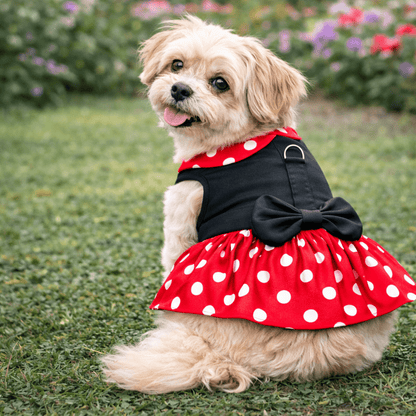 Minnie Dots Harness Dress - Doglicious Bakery Bites