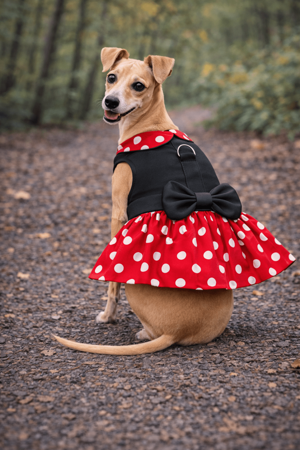 Minnie Dots Harness Dress - Doglicious Bakery Bites