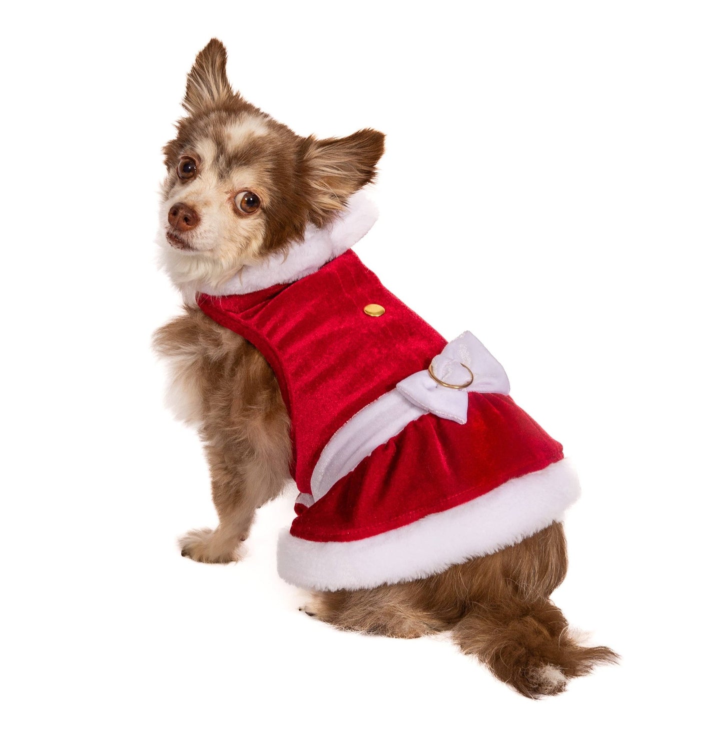 Mrs. Clause Dog Dress for Christmas - Doglicious Bakery Bites