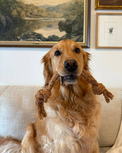 Mumbies - Coconut Rope Tug - Doglicious Bakery Bites