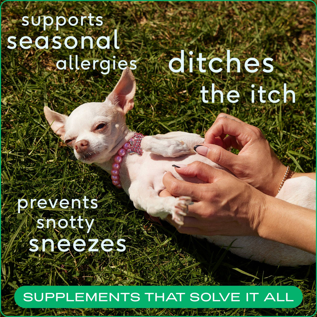 Native Pet - Allergy & Immune Chews, an Allergy & Itch Relief Supplement - Doglicious Bakery Bites