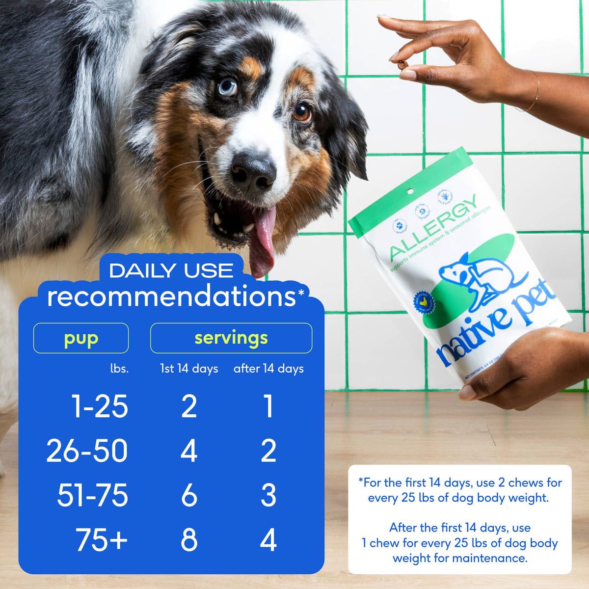 Native Pet - Allergy & Immune Chews, an Allergy & Itch Relief Supplement - Doglicious Bakery Bites